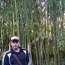 ���� ����������, ���������, 39 ��� - ��������� 18 ������� 2025 � ������ ���� ����������