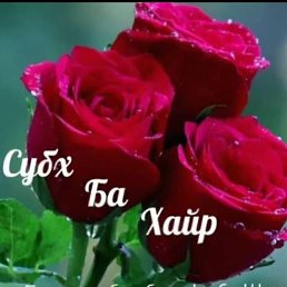 ���� �, ������, 35 ��� - ��������� 24 ����� 2026