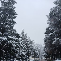 ���� �������, �������, 43 ���� - ��������� 27 ����� 2026