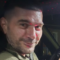 �����, ��������, 46 ���