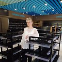 ���� �����, �����, 54 ���� - ��������� 14 �������� 2024 � ������ ���� ����������