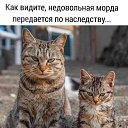 ���� �����, ������ ����� - ��������� 24 ������ 2026 � ������ ������ ��������