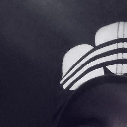 �����, �������, 21 ���