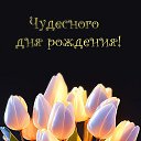  , , 53  -  9  2023     