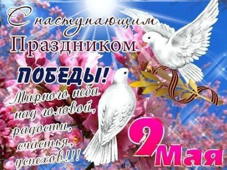   -https://vk.com/album-153272049_302889168