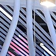 ������, 36 ���, �����-���������