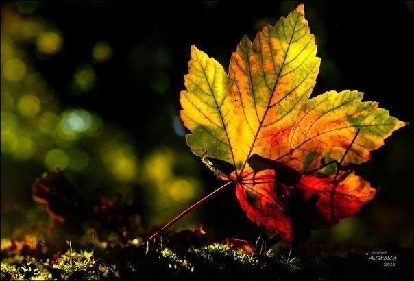    - 10  2025  00:14 - 2