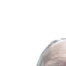 ��, ������, 48 ���