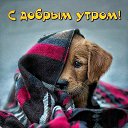���� �����, ������, 38 ��� - ��������� 24 ������ 2024 � ������ ���� ����������