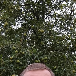 ���� ����, �������, 39 ��� - ��������� 28 ������ 2025