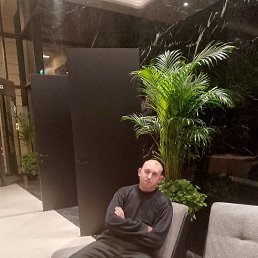 �������, ����, 43 ����