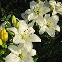 ���� ���������, �����������, 62 ���� - ��������� 11 ������ 2024 � ������ ���� ����������