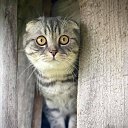 ���� Olga, �������, 61 ��� - ��������� 14 ������ 2025 � ������ ������ ��������