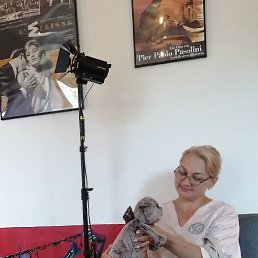 ������, ������, 51 ���