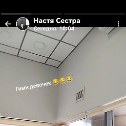 , 53, 