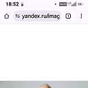 ���� �����, �����-���������, 66 ��� - ��������� 1 ������ 2026 � ������ ���� ����������