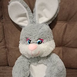 ����, �����, 49 ���