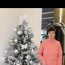���� �����, �����������, 45 ��� - ��������� 22 ���� 2024 � ������ ���� ����������