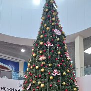 ���������, 59 ���, �������