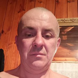 �����, ���������, 49 ���