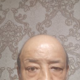 , 52, 