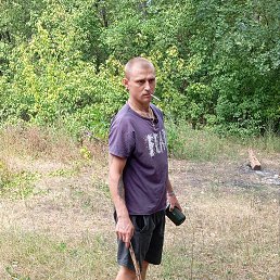 , 29, 