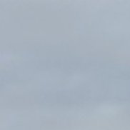 ��������, 56 ���, ������