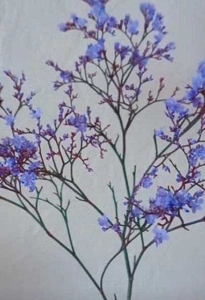 " ,   -    .      ..." ...