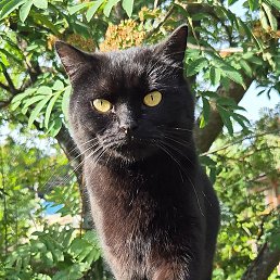 ��, ������, 37 ���