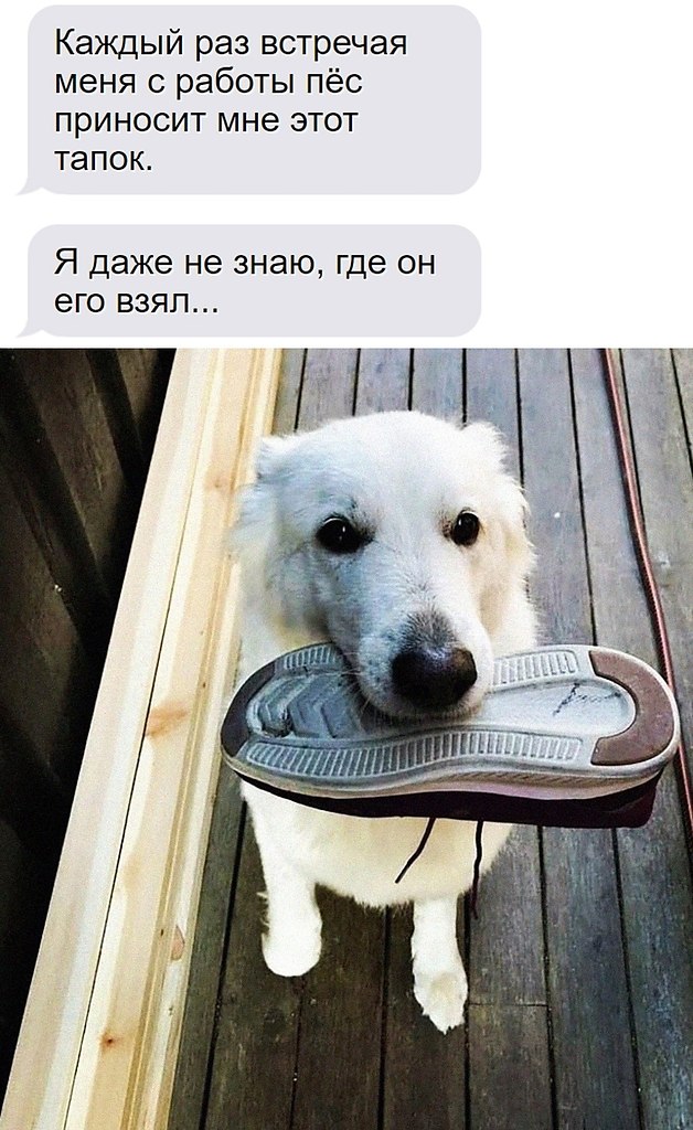    - 15  2025  16:35