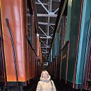 ���� ��������, ��������� - ��������� 18 ������ 2026 � ������ ���� ����������