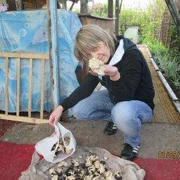 E�e�a, ���������, 54 ����