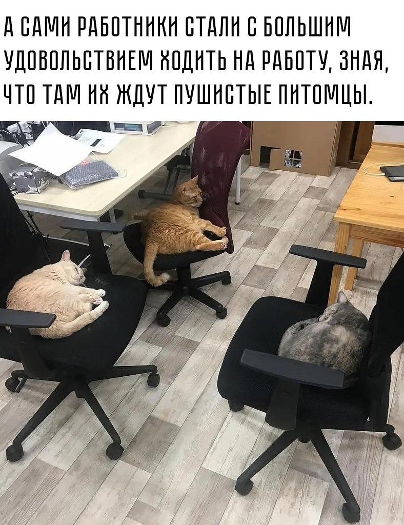        - 3