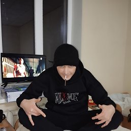 ���� ������, �������, 41 ��� - ��������� 1 ������ 2024