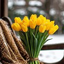  Prosto ..., , 67  -  4  2025    