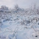 ���� �����, ���������, 39 ��� - ��������� 27 ������� 2024 � ������ ������������