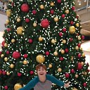 NY Hovii God. �� ������� �N1�