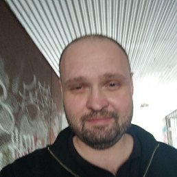 , 33, 