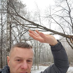 , 48, 