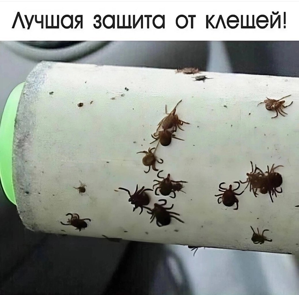 ���� �� ����������� ����������� �� �������, �������������� ���� ������� �������, ����� �������� ��� ...
