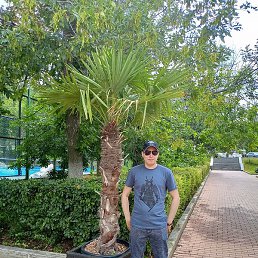 �������, ��������, 33 ����