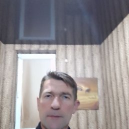 �������, ���������, 41 ���