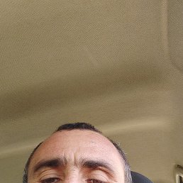 , 41, 