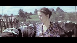 Дожди по всей территории (1978)Председатель колхоза назначает звеньевой молодую трактористку Марию, которая работает лучше остальных членов звена – мужчин. Максималистка по натуре, Мария живет и раб...