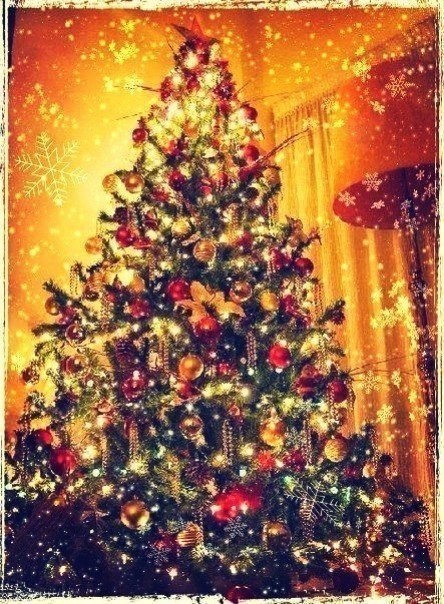 ����� � ������ - 21 ������� 2025 � 14:23 - 5