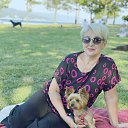 ���� �����, ������������, 66 ��� - ��������� 1 ������ 2024