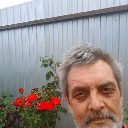 ������, ������