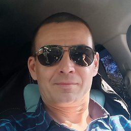 ������, ��������, 41 ���