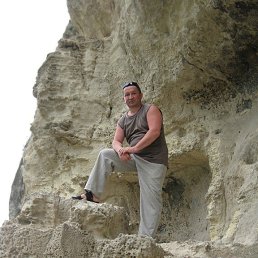 , 61, 
