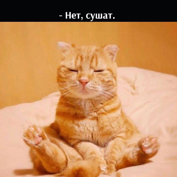       - 25  2025  12:46 - 4